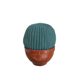 Haakpakket nr. 159 cactus maxi