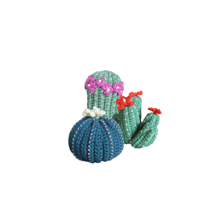 Haakpatroon nr. 160 cactussen met bloemen