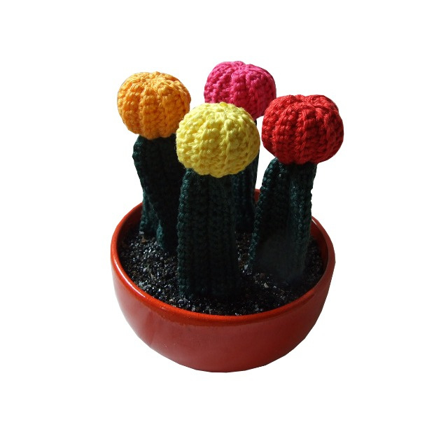 Haakpatroon nr. 128  cactus met gekleurde kop