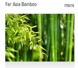 Far Asia Bamboo