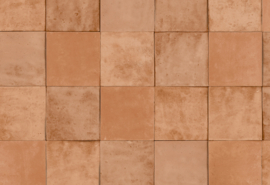 HookedOnWalls Terra Cotta 42144