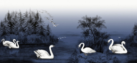 Rebel Walls behang Deco Swan Lake Nightfall R16222