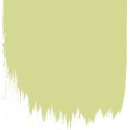 Designers Guild Verf Trailing Willow no 109
