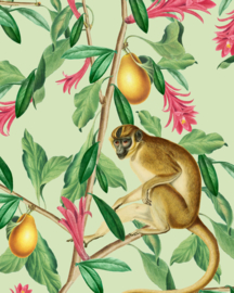 Creative Lab Amsterdam behang Tropical Monkey