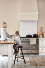 Little Greene verf Mushroom 142