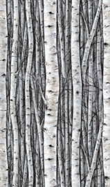 Noordwand Timber fotobehang 35395