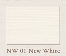 Painting the Past verf NW01 New White