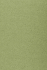 ARTE Flamant Les Unis - Linens behang 40093