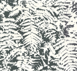 Little Greene behang Fern - Off Black