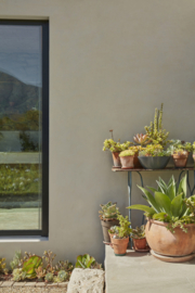 Little Greene verf Jack Black 119