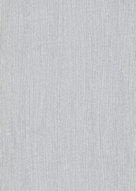 Erismann Fashion for Walls 10028-29