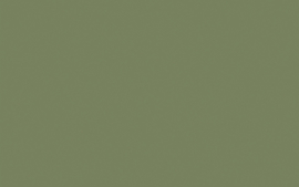 Little Greene verf Sage Green 80