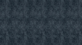 Rebel Walls behang Deco Twining Vines Navy R16252
