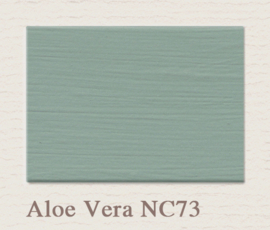 Painting the Past verf NC73 Aloe Vera