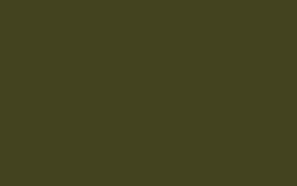 Little Greene verf Olive Colour 72