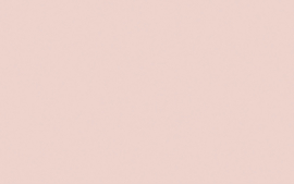 Little Greene verf Pink Slip 220