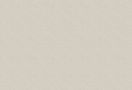 HookedOnWalls Natural Chic behang 32637