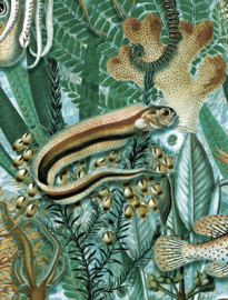 KEK Amsterdam behang Underwater Jungle WP-688, WP-694, WP-700