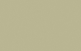 Little Greene verf Portland Stone Deep 156