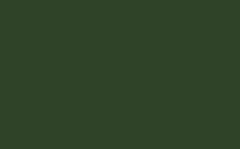 Little Greene verf Dark Brunswick Green 88