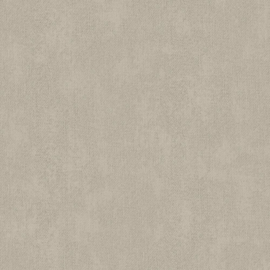 Dutch Wall Decor Natural behang Z48448