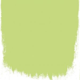 Designers Guild Verf Lime Tree no 96