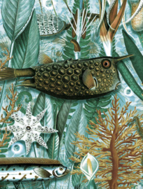 KEK Amsterdam behang Underwater Jungle WP-688, WP-694, WP-700