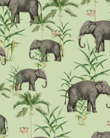Creative Lab Amsterdam behang Oscar the Elephant green