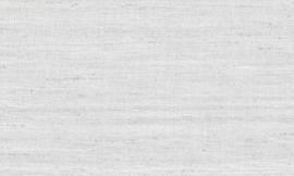 ARTE Textura behang Lignes 40504