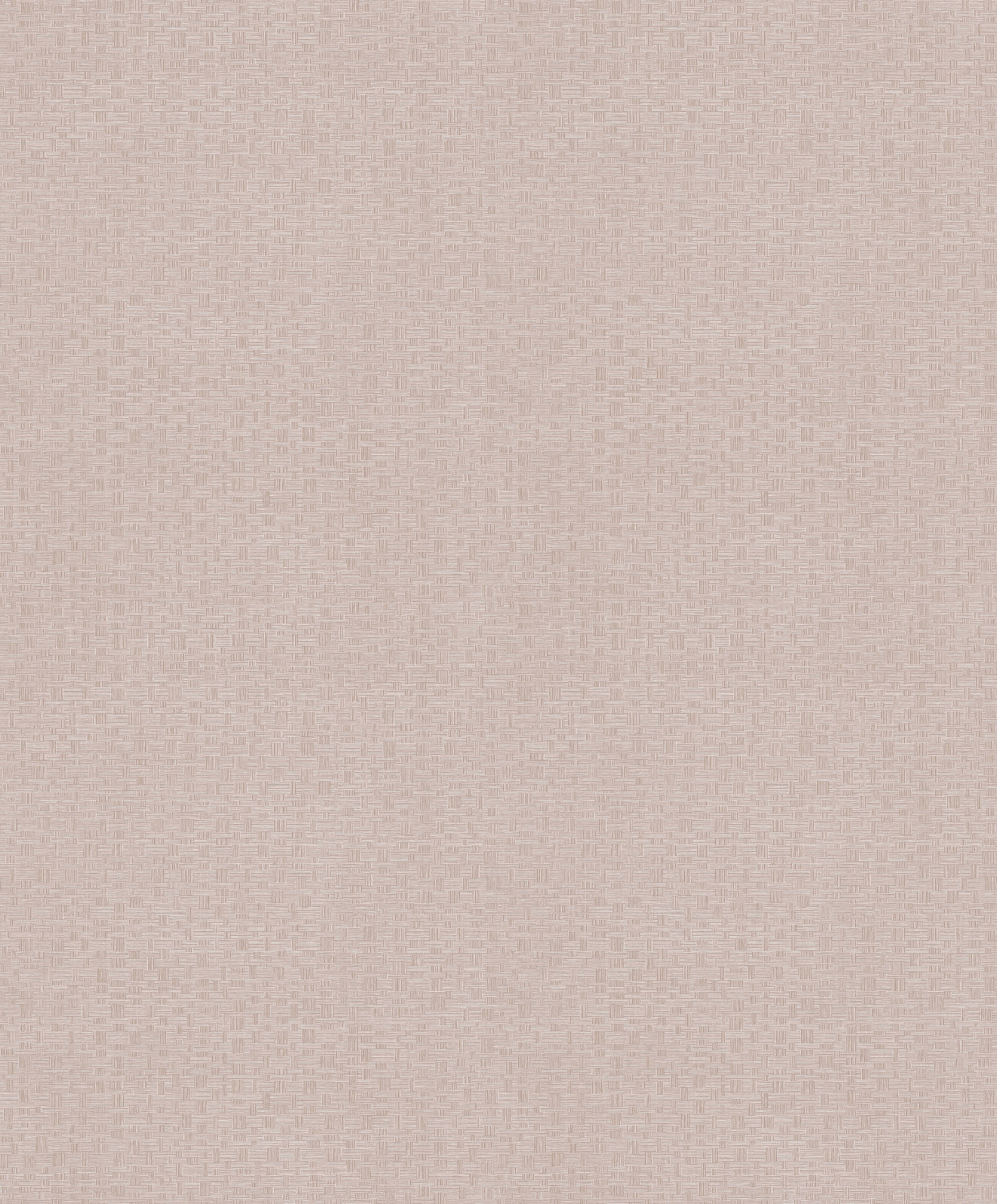 ROM304