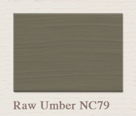 Painting the Past verf NC79 Raw Umber