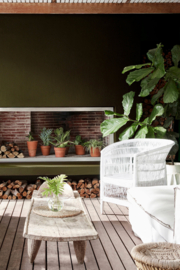 Little Greene verf Invisible Green 56