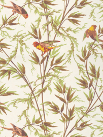 Little Greene behang Great Ormond St. - Galette