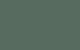 Little Greene verf Ho Ho Green 305