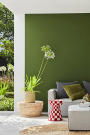 Little Greene verf Jewel Beetle 303