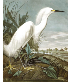 KEK Amsterdam behang Snowy Heron PA-009