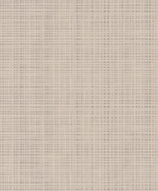 BN Wallcoverings Structure 5028705