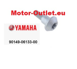 Braking Yamaha Remschijfbouten VMX1700-FJR-R1-R6-FZ6-MT-