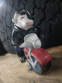 Motorrijder  peper &  zout stel