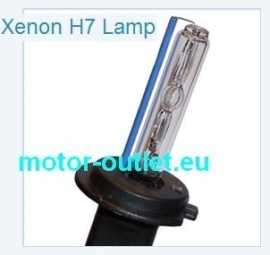 Lamp Xenon vervangingslamp  H7 8000K