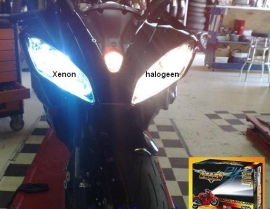 koplamp H4 8000K Xenon MotorKit