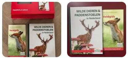 Wilde dieren en paddestoelen in Nederland (GRATIS)