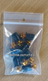 kuipruitboutjes goud 8x boutjes/welnuts