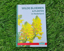 Wilde bloemen en planten in Nederland (GRATIS)