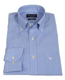 Overhemd 100% katoen, button down kraag, blauw streepje, (196069)
