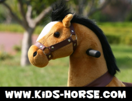 Kids-Horse "Bobbie"  Rainbow UniCorn voor kids van 3-6 jaar.  (TB-2020S)