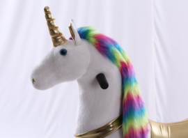 Kids-Horse "Jessica", Rainbow UniCorn voor kids van 4-9 jaar.  (TB-2020M)