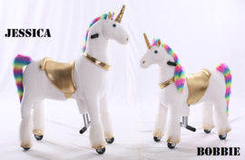 Kids-Horse "Jessica", Rainbow UniCorn voor kids van 4-9 jaar.  (TB-2020M)