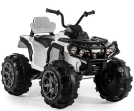 Stuurmotor 12V Quad , Urus , Mountain king,