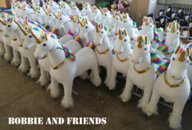 Kids-Horse "Bobbie"  Rainbow UniCorn voor kids van 3-6 jaar.  (TB-2020S)